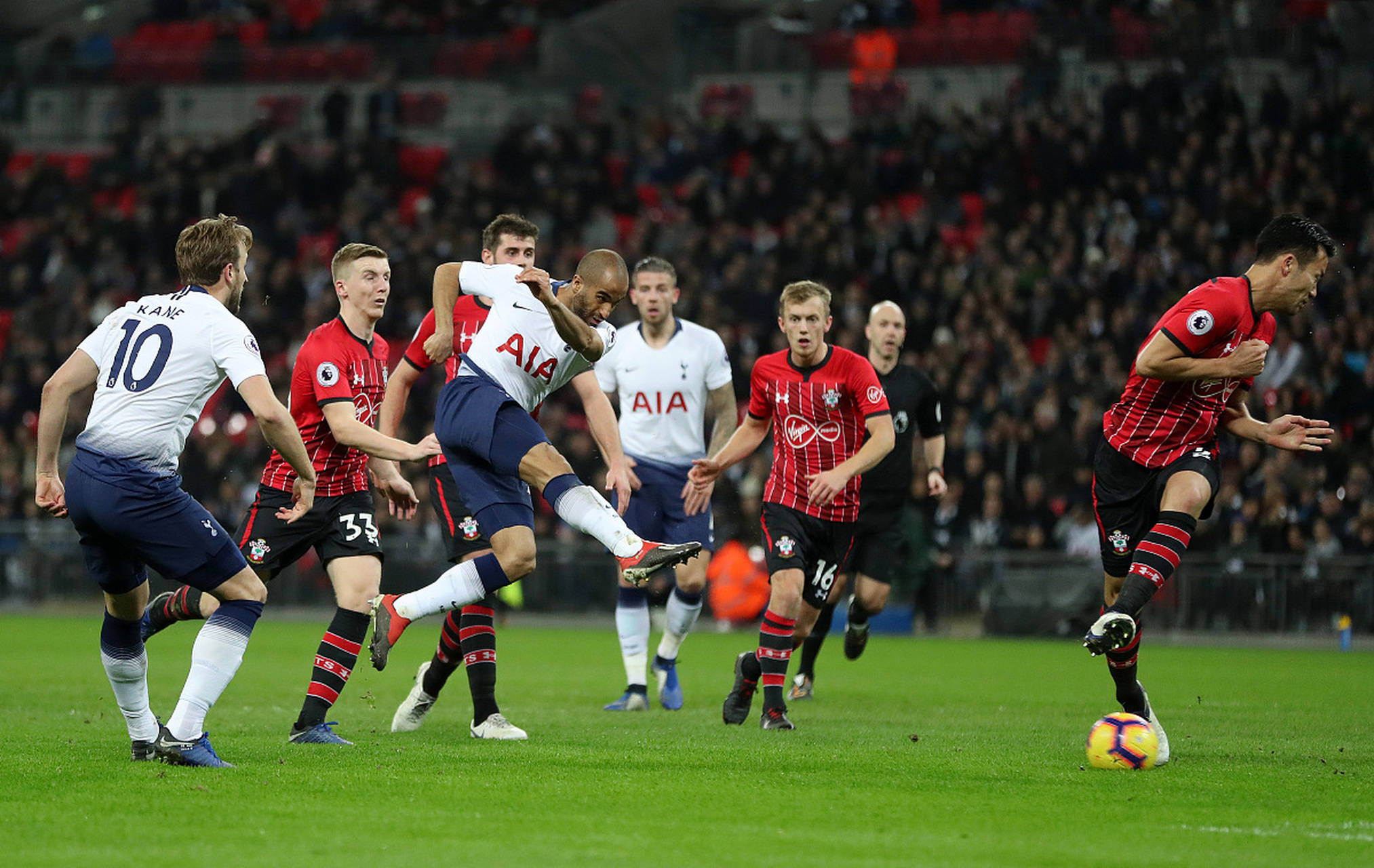 结出了属于 结出了属于